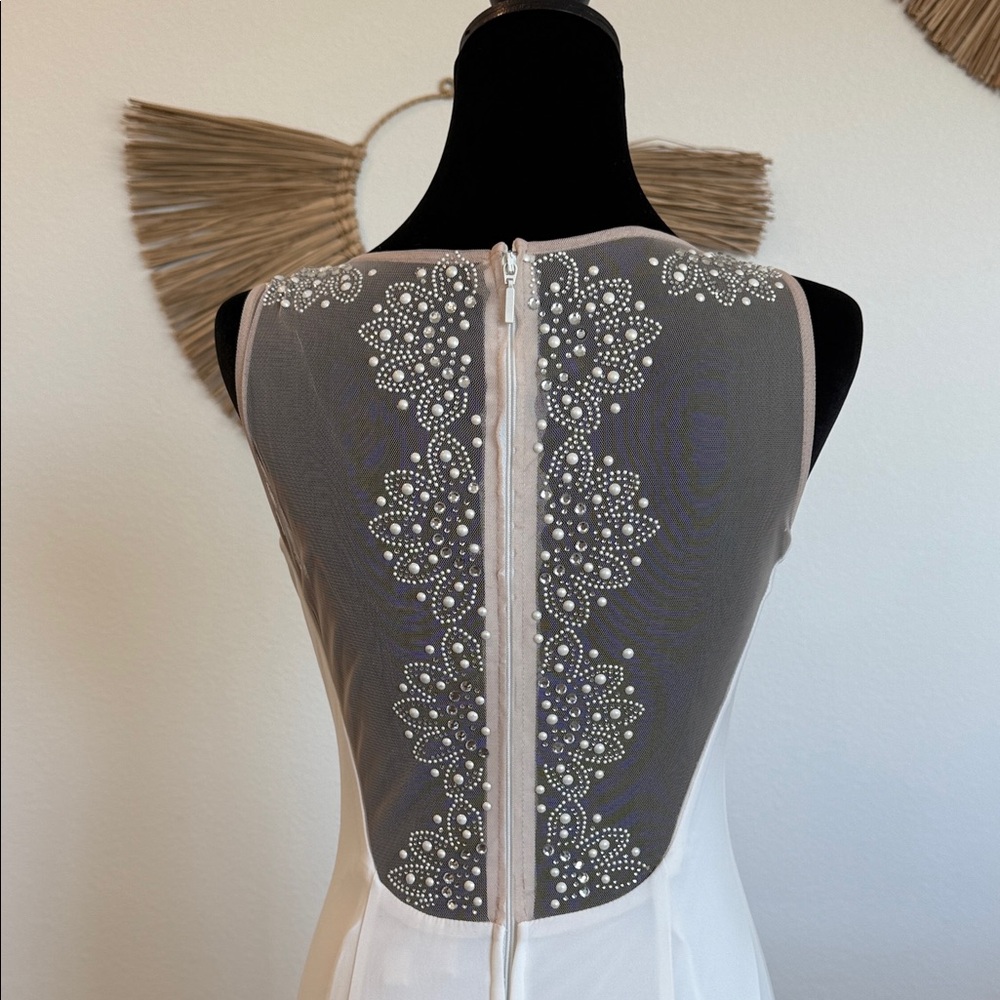 Adrianna Papell Elegant White Maxi Dress with Black Mesh - Picture 10 of 17